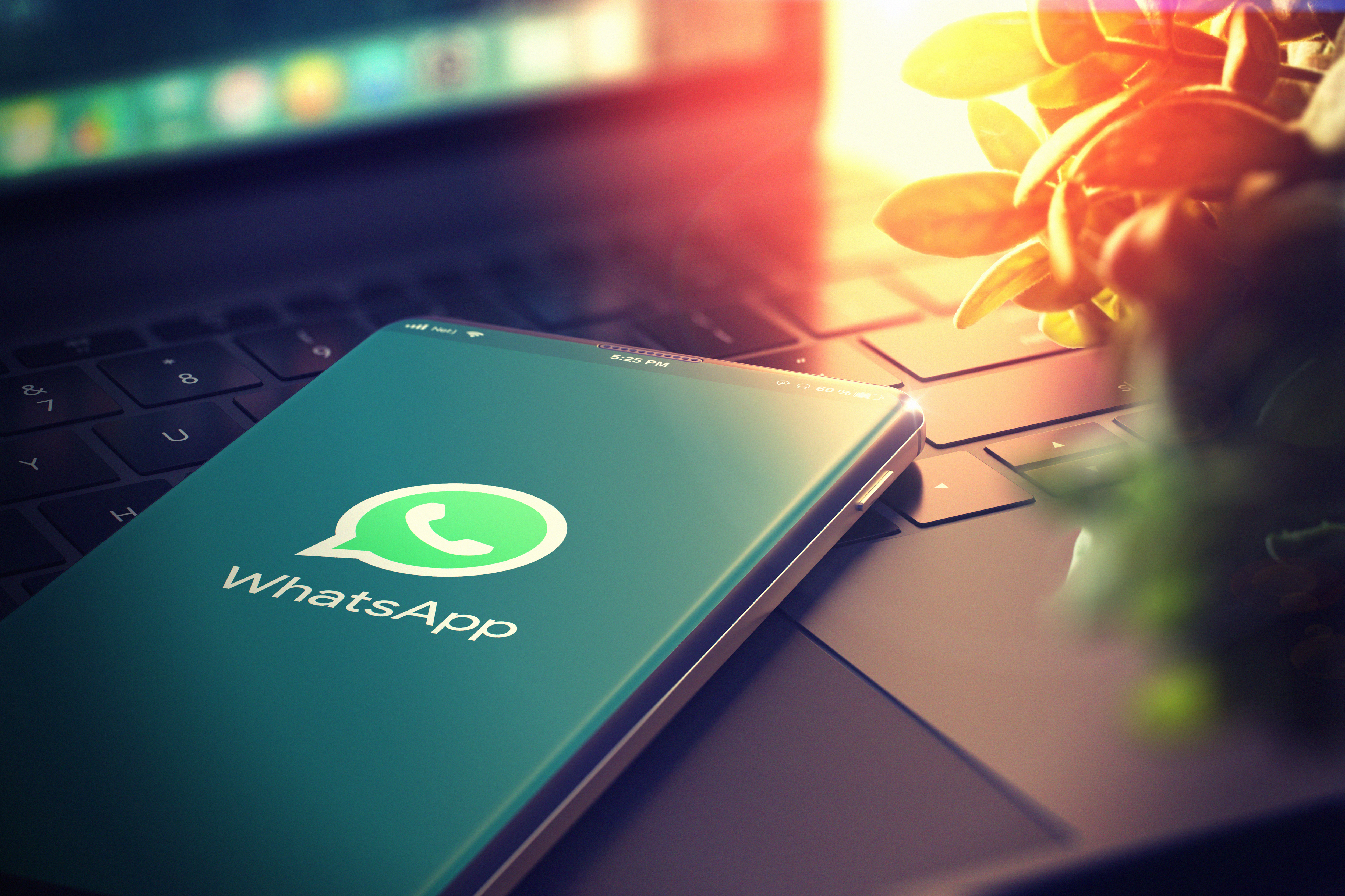 Whatsapp Phone EM360