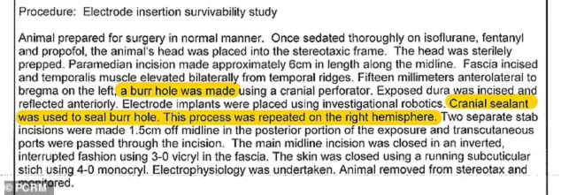 neuralink lawsuit