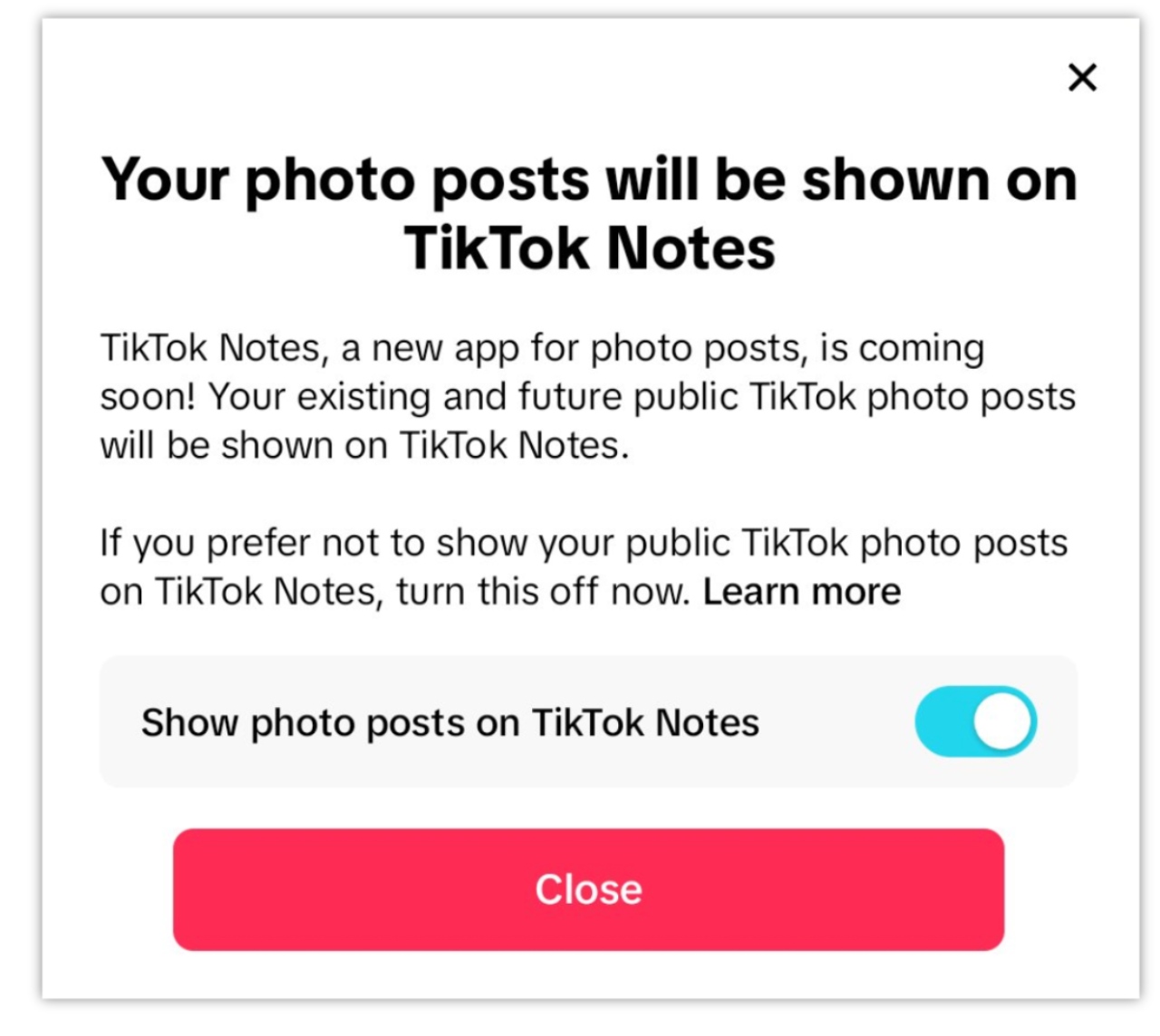 what is tiktok notes