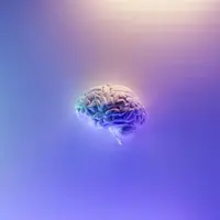 data driven insights