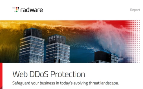 web ddos protection